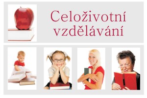 CŽV grafika web